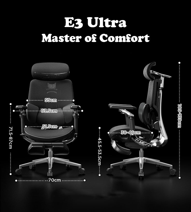 HBADA E3 Ultra Ergonomic Chair (grey)
