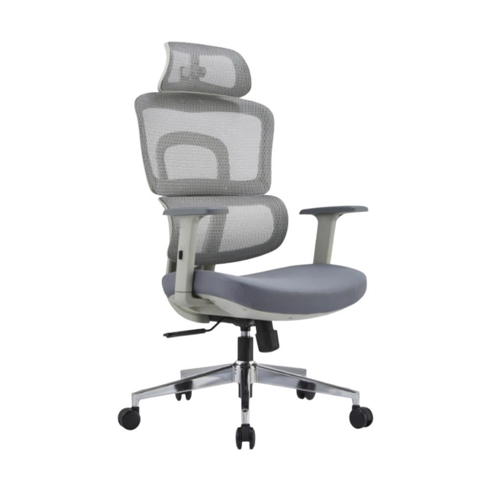 HBADA ErgoCraft Basic Ergonomic Gaming Chair With 2D Headrest & Lumbar support (Grey)