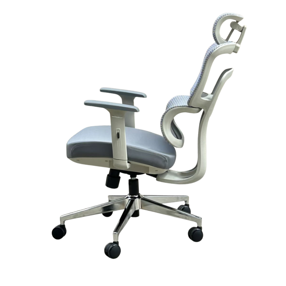 HBADA ErgoCraft Basic Ergonomic Gaming Chair With 2D Headrest & Lumbar support (Grey)