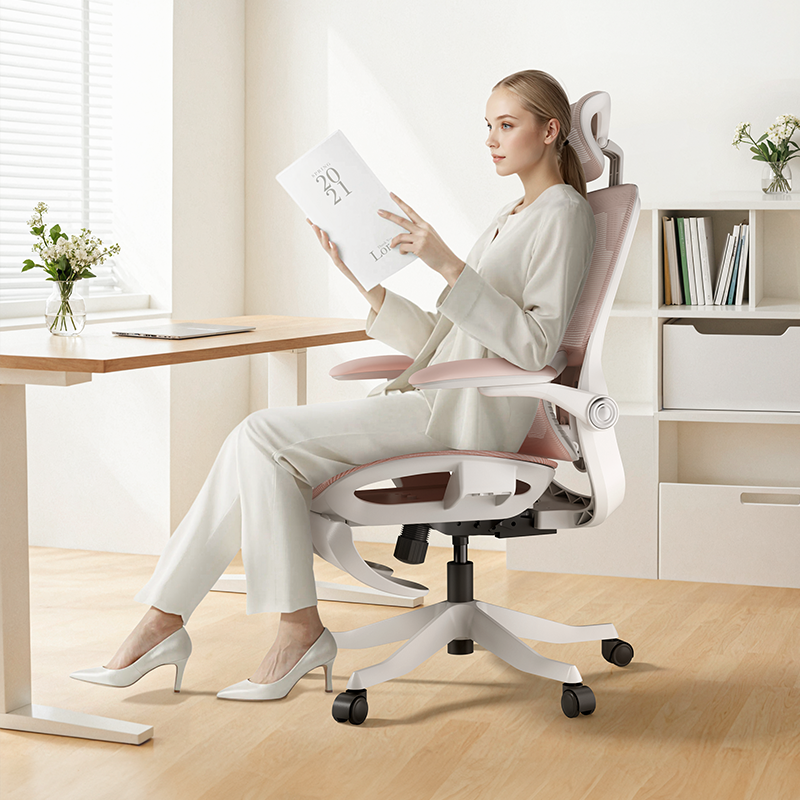 HBADA P2 Pro Ergonomic Gaming Chair
