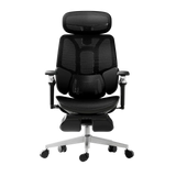HBADA E3 Ultra Ergonomic Chair (grey)