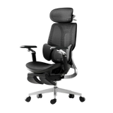 HBADA E3 Ultra Ergonomic Chair (grey)