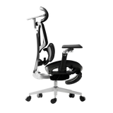 HBADA E3 Ultra Ergonomic Chair (grey)
