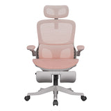 HBADA P2 Pro Ergonomic Gaming Chair