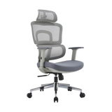 HBADA ErgoCraft Basic Ergonomic Gaming Chair With 2D Headrest & Lumbar support (Grey)