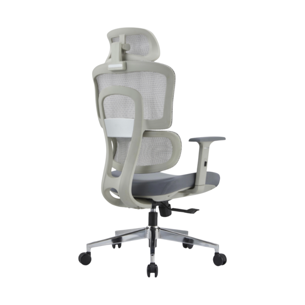 HBADA ErgoCraft Basic Ergonomic Gaming Chair With 2D Headrest & Lumbar support (Grey)