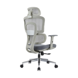 HBADA ErgoCraft Basic Ergonomic Gaming Chair With 2D Headrest & Lumbar support (Grey)
